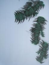 STA_0564.jpg